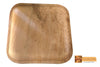 Geolife Areca Leaf Natural Bio-degradable Square Shallow Plate 10" inch ( pack of 20 plates)