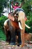 Realistic Wooden Elephant Sculptures-1.5 Ft.