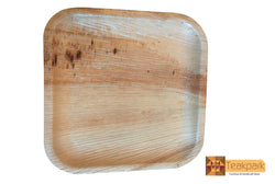 Geolife Areca Leaf Natural Bio-degradable Square Shallow Plate 10
